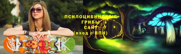 PSILOCYBIN Краснотурьинск