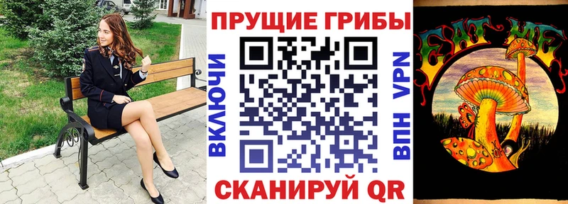 mega tor  Мещовск  Псилоцибиновые грибы прущие грибы  наркота 